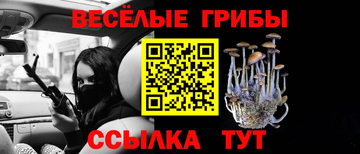 Чехов  Галлюциногенные грибы мухоморы  Вход с VPN  Псилоцибиновые грибы GOLDEN TEACHER 